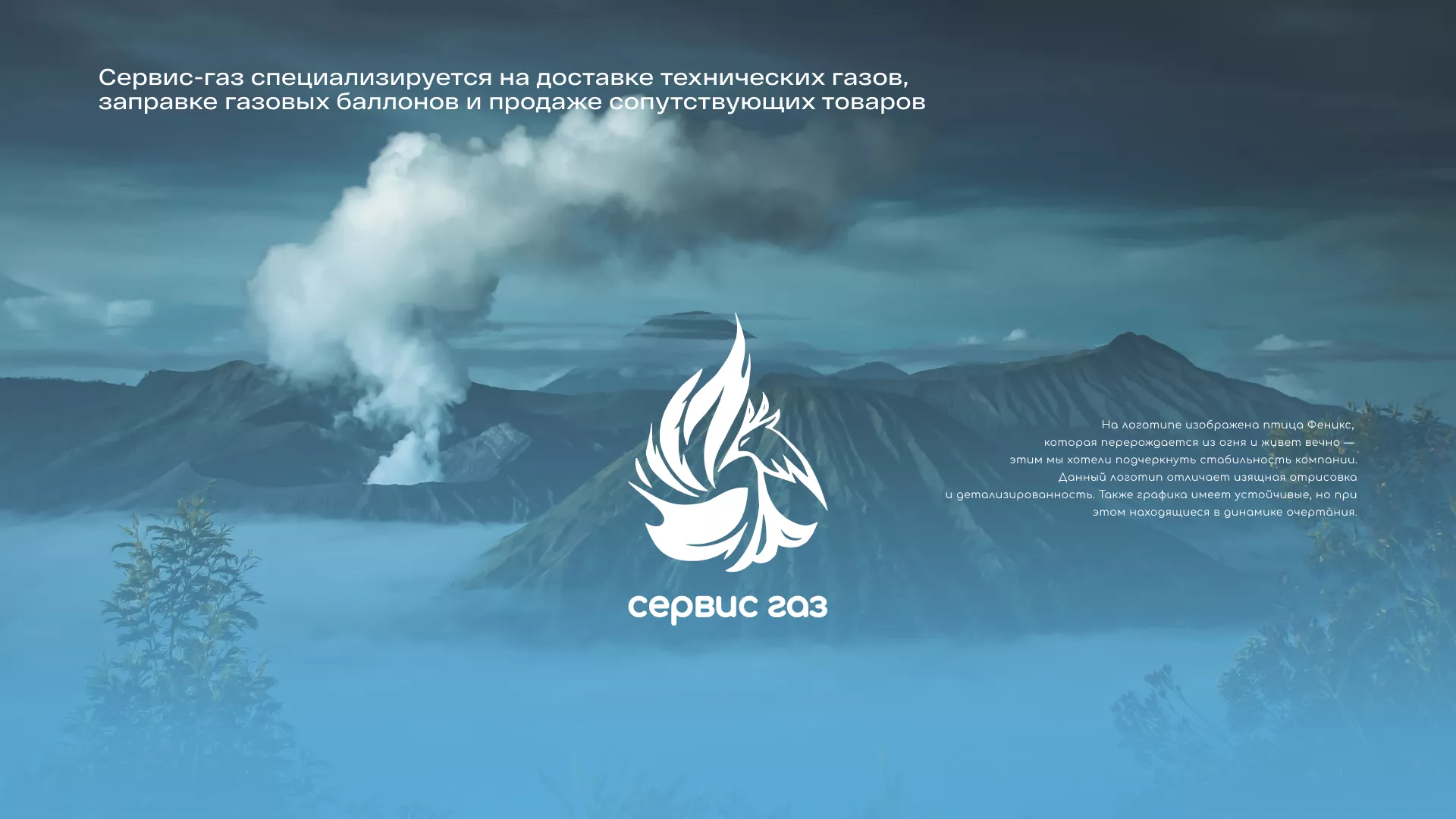 Создание сайта компании «Сервис газ» в Бердске